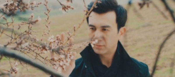 Botir Qodirov - Diydor uchun
